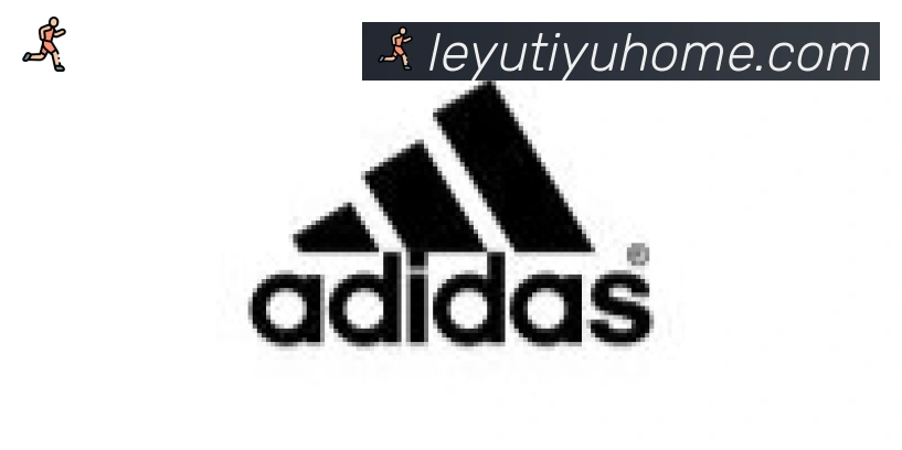 乐鱼体育合作伙伴